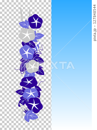 Simple morning glory decorative illustration material Simple morning glory decorative illustration material 127848544