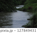 増水した川 127849431