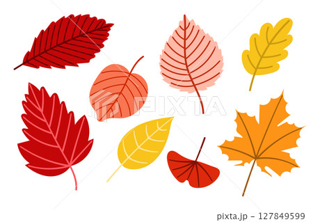 Bright autumn leaves vector set illustration Bright autumn leaves vector set illustration 127849599