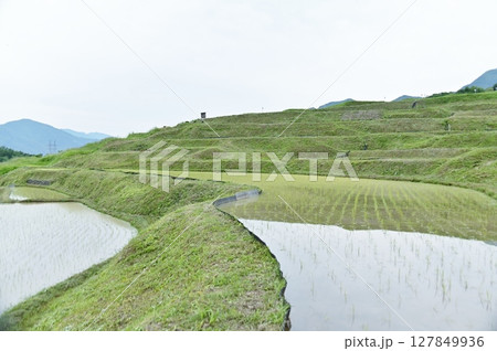 田植の済んだ姨捨棚田の水面に映る景色 田植の済んだ姨捨棚田の水面に映る景色 127849936