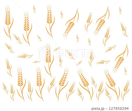 Agriculture wheat Logo Template vector 127850294