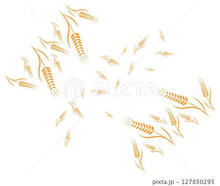 Agriculture wheat Logo Template vector 127850295