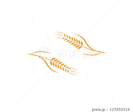 wheat Logo Template vector 127850314