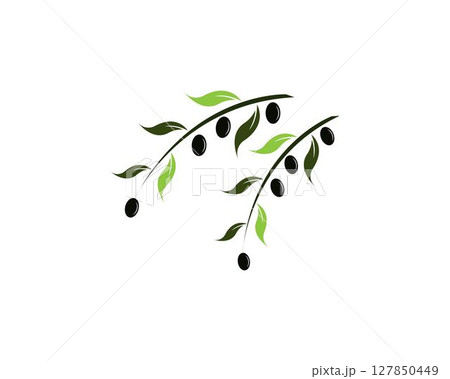 olive logo template vector design 127850449