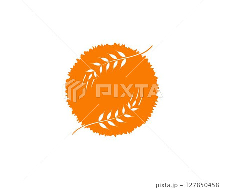 wheat Logo Template vector wheat Logo Template vector 127850458