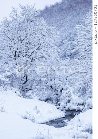 雪化粧した森（恩原湖周辺） 127850701