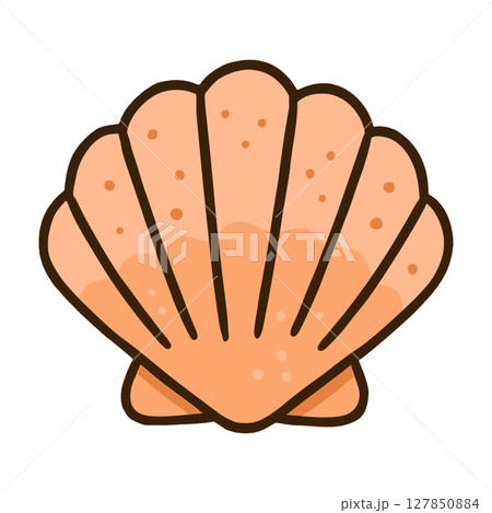 二枚貝のかわいいイラスト（夏・海・手描き風） 127850884