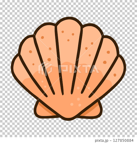 二枚貝のかわいいイラスト（夏・海・手描き風） 127850884