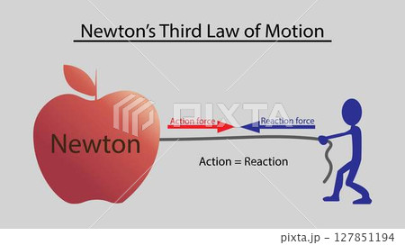 illustration of physics, Newton's third law of motion, Law of gravity, action reaction force, Newton Third Law of Motion Infographic Diagram showing action reaction force direction 127851194