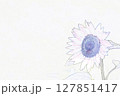 ”ひまわりの花”　イラストイメージ 127851417