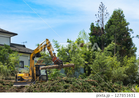 林業機械グリップルアタッチメントによる伐採作業 127851631