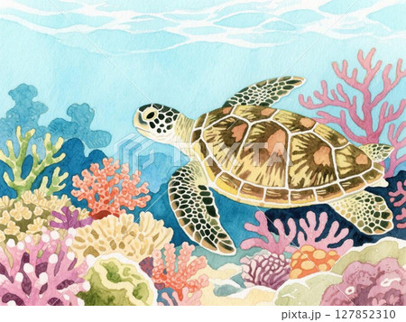 ウミガメとサンゴ礁 ウミガメとサンゴ礁 127852310