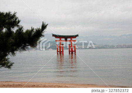 宮島　厳島神社　広島県 127852372