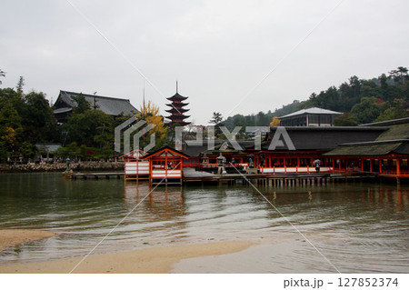 宮島 厳島神社 広島県 宮島 厳島神社 広島県 127852374
