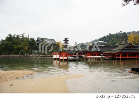 宮島　厳島神社　広島県 127852375