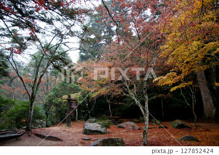 広島 宮島 紅葉谷公園 広島 宮島 紅葉谷公園 127852424