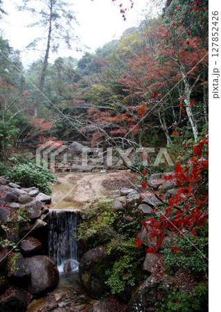 広島　宮島　紅葉谷公園 127852426