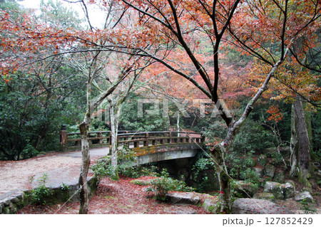 広島　宮島　紅葉谷公園 127852429