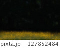 陽射しを浴びる眩しいタンポポと黒背景 127852484