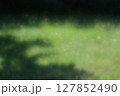 陽射しを浴びる眩しい公園の光と陰 127852490