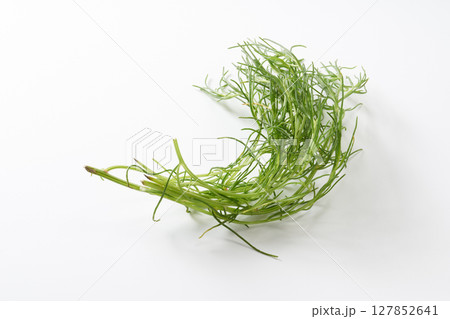 おかひじき　イメージ 127852641