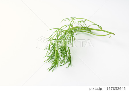 おかひじき　イメージ 127852643