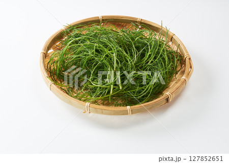 おかひじき　イメージ 127852651