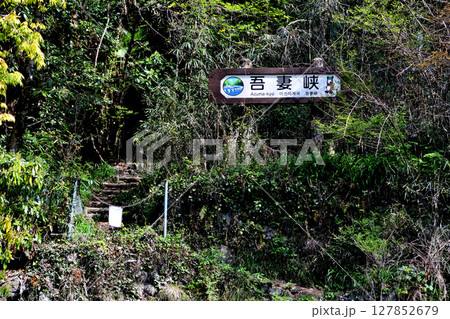 首都圏の中の小さな秘渓、入間川・吾妻峡 首都圏の中の小さな秘渓、入間川・吾妻峡 127852679