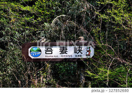 首都圏の中の小さな秘渓、入間川・吾妻峡 首都圏の中の小さな秘渓、入間川・吾妻峡 127852680