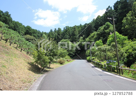 秋野不矩美術館　浜松　静岡県 127852788