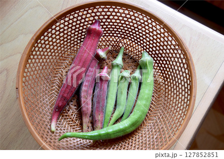 The "Okra" 真夏の家庭菜園で育てる夏野菜，収穫した2色のオクラの実 (クローズアップ接写) 127852851
