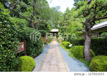 龍潭寺 奥浜名湖 浜松市 静岡県 龍潭寺 奥浜名湖 浜松市 静岡県 127852853
