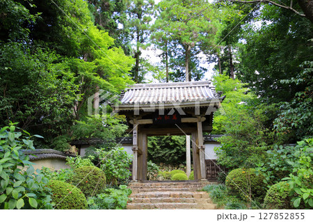 龍潭寺　奥浜名湖　浜松市　静岡県 127852855