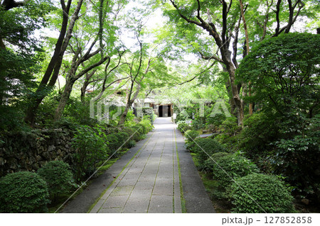 龍潭寺　奥浜名湖　浜松市　静岡県 127852858