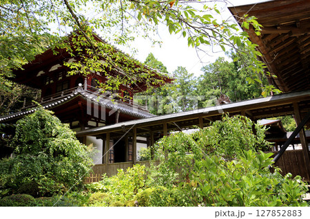 龍潭寺　奥浜名湖　浜松市　静岡県 127852883
