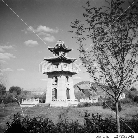古写真　1938年　日中戦争中の中華民国　南京市　国民政府考試院の和平公園鐘楼 127853042