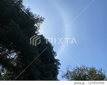 森に架かる虹 127853430