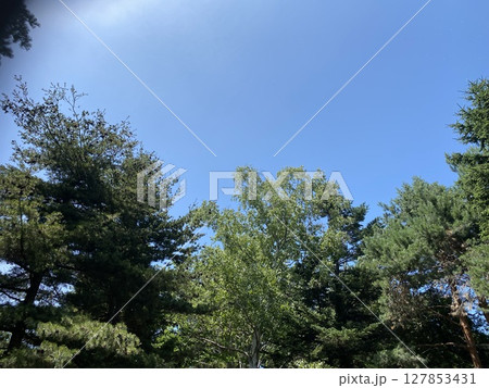 晴れた日の空 127853431