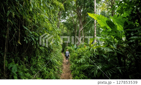 Backpacking Through Lush Rainforest, Discovery, Biodiversity, Eco-Tourism. Perfect for adventure travel, environmental awareness, exploration 127853539