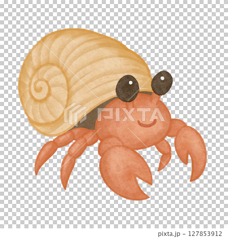 Hermit crab watercolor Hermit crab watercolor 127853912