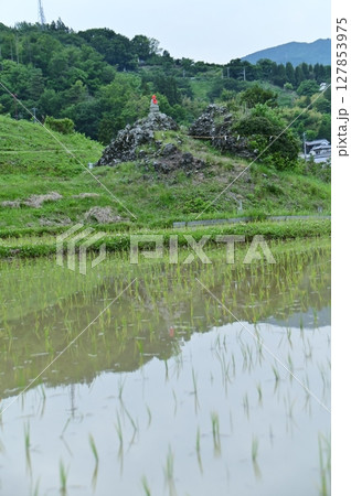 初夏の棚田に映り込む景色 127853975