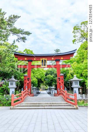 初夏の氣比神宮 福井県敦賀市 初夏の氣比神宮 福井県敦賀市 127854485