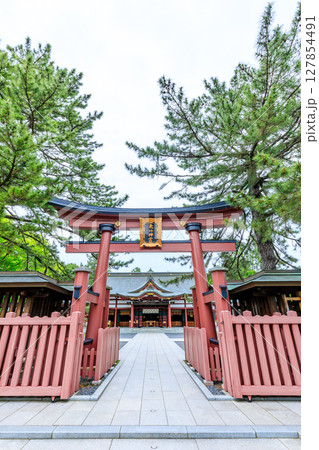 初夏の氣比神宮 福井県敦賀市 初夏の氣比神宮 福井県敦賀市 127854491
