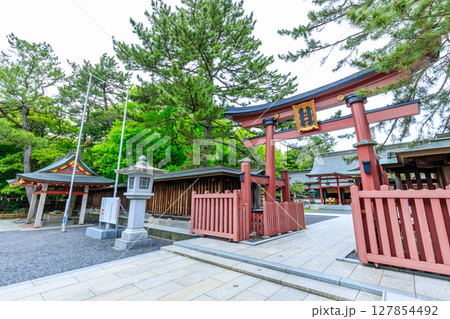 初夏の氣比神宮 福井県敦賀市 初夏の氣比神宮 福井県敦賀市 127854492