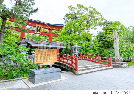 初夏の氣比神宮　福井県敦賀市 127854506