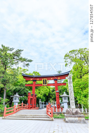 初夏の氣比神宮　福井県敦賀市 127854507