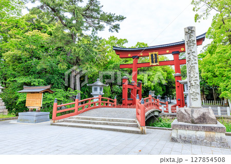 初夏の氣比神宮　福井県敦賀市 127854508