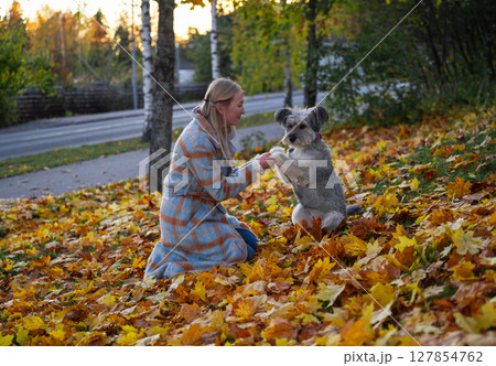 Smiling woman in coat with her mixed-breed dog enjoying autumn leaves in a park Smiling woman in coat with her mixed-breed dog enjoying autumn leaves in a park 127854762