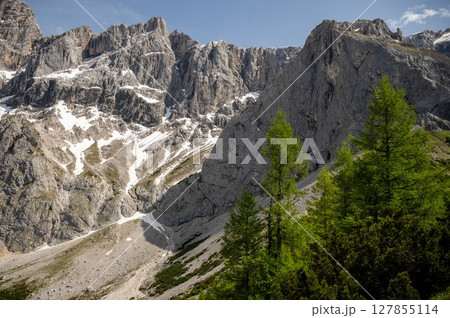 Steep rocky peaks of the Dachstein mountains with patches of snow and green alpine trees in summer 127855114