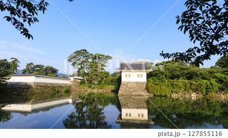 小田原城址の夏 127855116